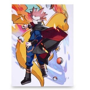 Brand new Pokémon canvas